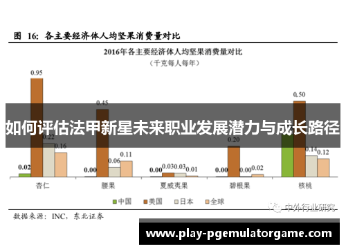 如何评估法甲新星未来职业发展潜力与成长路径