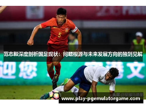 范志毅深度剖析国足现状：问题根源与未来发展方向的独到见解