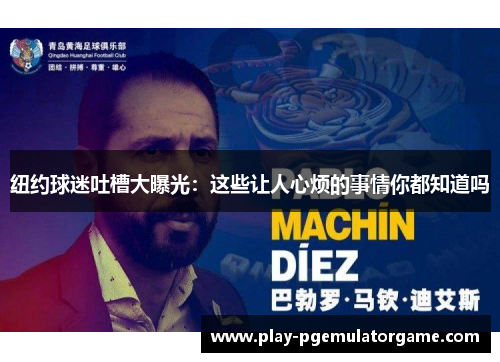 纽约球迷吐槽大曝光:这些让人心烦的事情你都知道吗 纽约球迷吐槽大曝光:这些让人心烦的事情你都知道吗