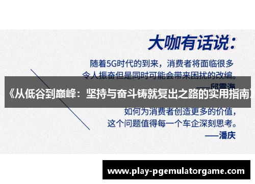 《从低谷到巅峰：坚持与奋斗铸就复出之路的实用指南》