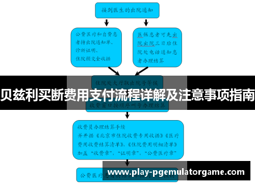 贝兹利买断费用支付流程详解及注意事项指南