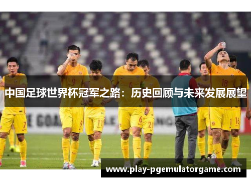 中国足球世界杯冠军之路：历史回顾与未来发展展望