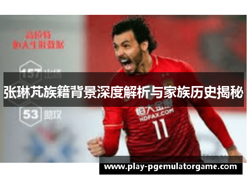 张琳芃族籍背景深度解析与家族历史揭秘
