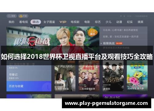 如何选择2018世界杯卫视直播平台及观看技巧全攻略
