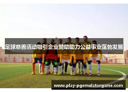 足球慈善活动吸引企业赞助助力公益事业蓬勃发展