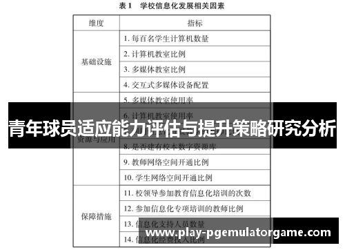 青年球员适应能力评估与提升策略研究分析