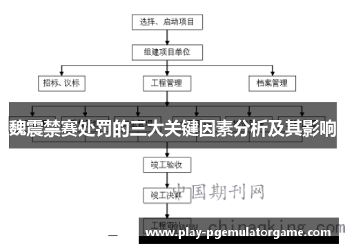 魏震禁赛处罚的三大关键因素分析及其影响