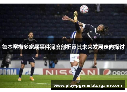 鲁本塞梅多家暴事件深度剖析及其未来发展走向探讨