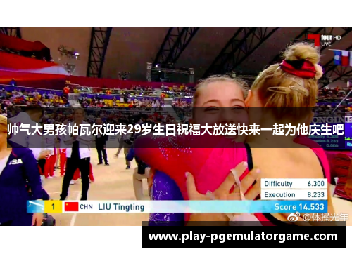 帅气大男孩帕瓦尔迎来29岁生日祝福大放送快来一起为他庆生吧