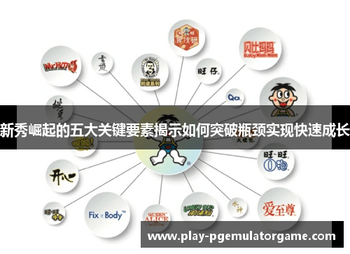 新秀崛起的五大关键要素揭示如何突破瓶颈实现快速成长